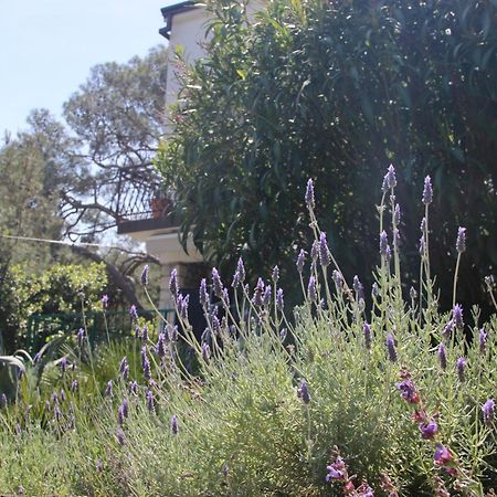 Cappelli Apartments - Losinj Mali Lošinj Exteriör bild